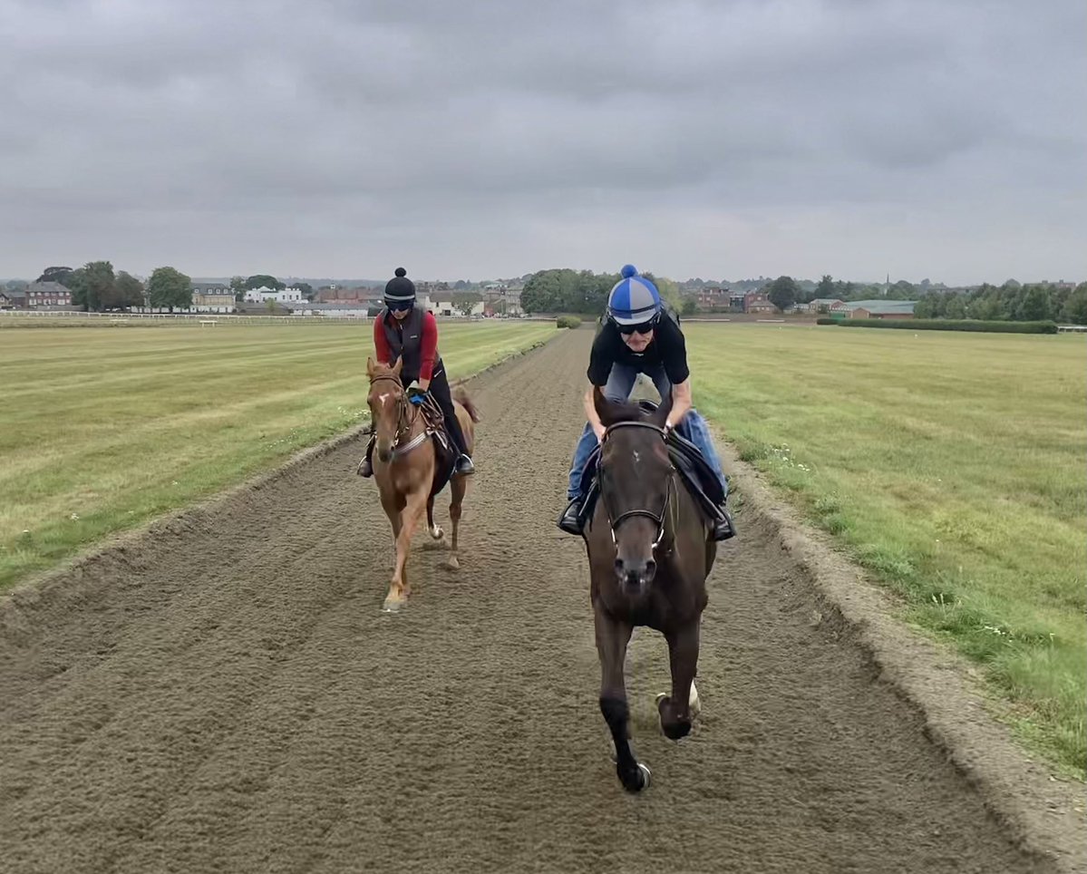 JohnWathenBerry's tweet image. I knew we’d miss the hot, sunny weather once it had gone! We started overcast this morning in Newmarket and then rain moved in after 9.00. Still warm but less so than it’s been. 18 degrees but feels colder in the rain. Likely to be dry & much warmer again tomorrow.