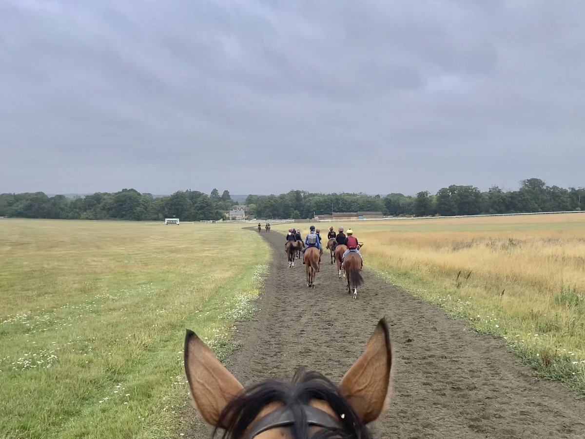 JohnWathenBerry's tweet image. I knew we’d miss the hot, sunny weather once it had gone! We started overcast this morning in Newmarket and then rain moved in after 9.00. Still warm but less so than it’s been. 18 degrees but feels colder in the rain. Likely to be dry & much warmer again tomorrow.