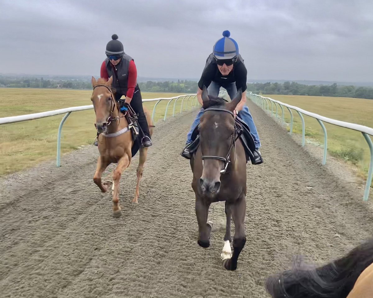 JohnWathenBerry's tweet image. I knew we’d miss the hot, sunny weather once it had gone! We started overcast this morning in Newmarket and then rain moved in after 9.00. Still warm but less so than it’s been. 18 degrees but feels colder in the rain. Likely to be dry & much warmer again tomorrow.