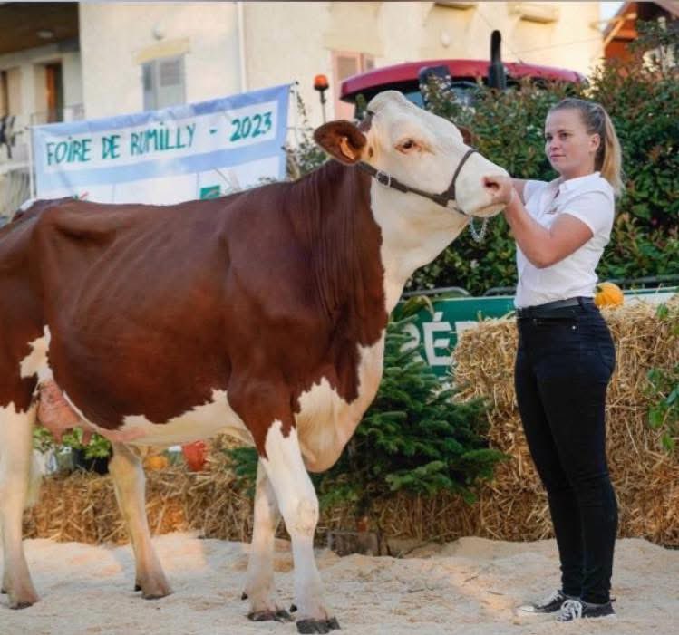 ✍🏻💔 Témoignage poignant de Léa, éleveuse, après l’abattage de son troupeau de vaches à lait par les autorités : 

« Je n’ai pas l’habitude de poster sur Facebook mais là il le faut..
C’est avec le cœur très lourd que j’écris cela.
Hier matin, on a dû faire nos adieux aux vaches