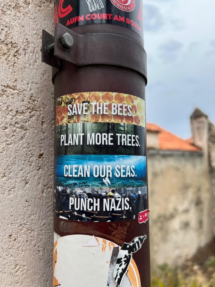 SAVE THE BEES. 
PLANT MORE TREES. 
CLEAN OUR SEAS. 
PUNCH NAZIS.
