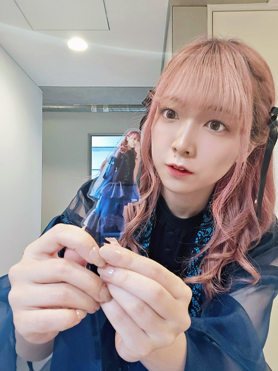 西尾夕香 (@240y_k) / X
