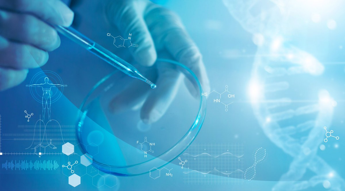 Entirl's tweet image. Ovagen Group Limited, an innovation-led Irish biotech, has today announced groundbreaking results from a Yellow Fever virus yield study that could transform the economics of global vaccine manufacturing.
Read more shorturl.at/nuheK