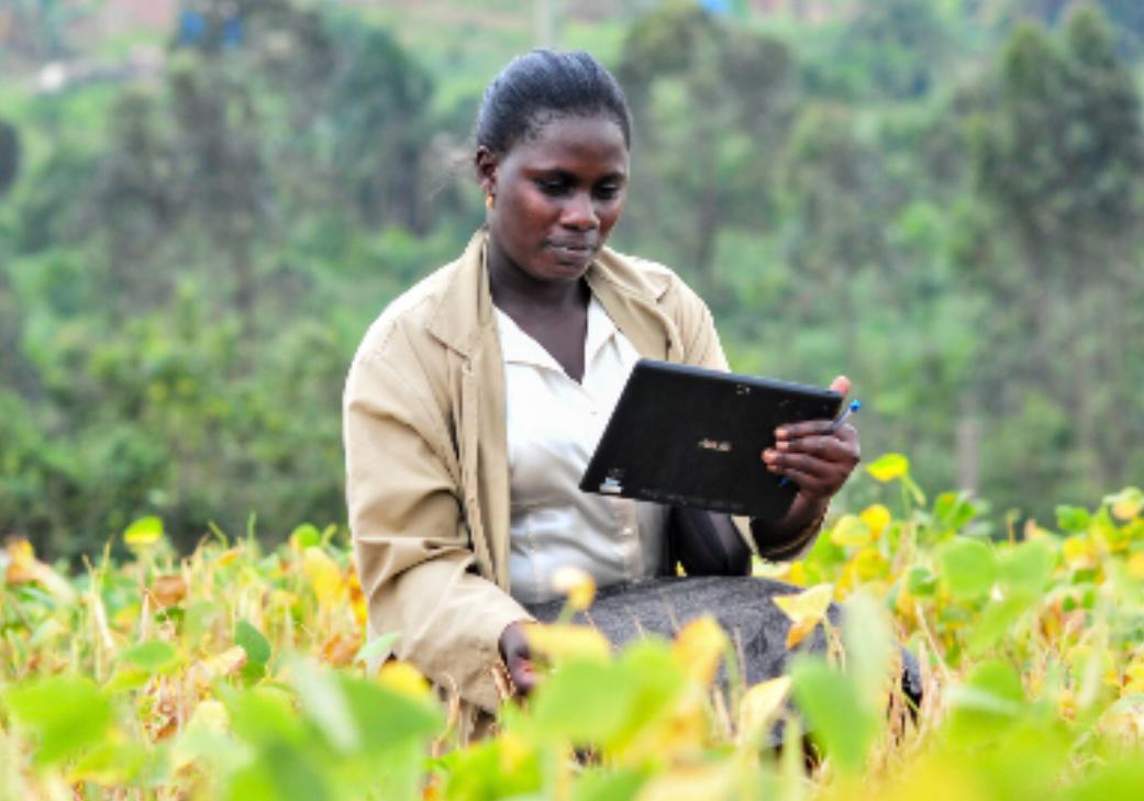 🧠 You’ve heard the headlines — but what don’t you know about AgWise?

Yes, AgWise was named one of the Top 5 winners in the hashtag#Data4SoilHealth Challenge.
Yes, the Regional Hub for Fertilizer and Soil Health is integrating it to support site-specific fertilizer trials across