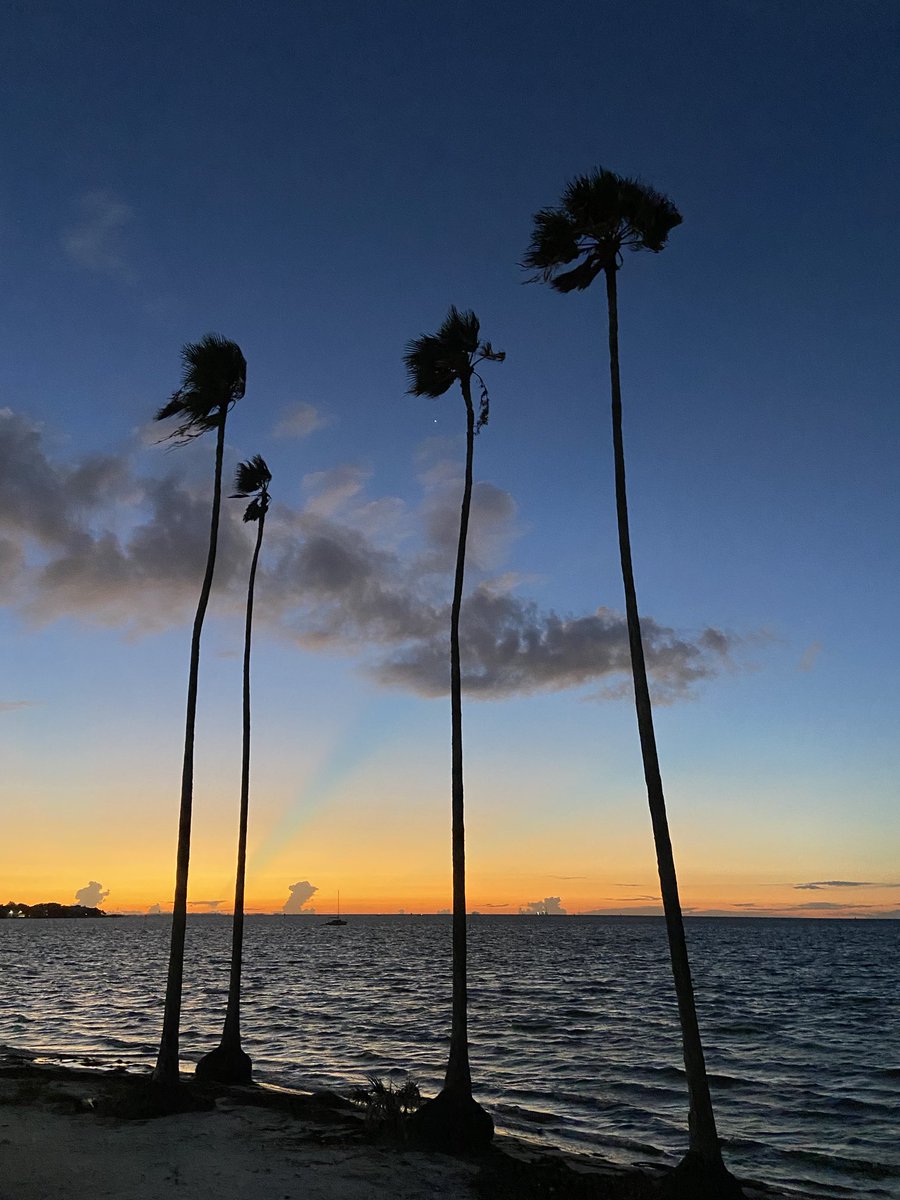 Sean Collins Prostate SBRT @ USF Health (@sbrtsean) on Twitter photo I Love #TampaBay !
Good Morning from Coffeepot Bayou in St. Petersburg! I Love #TampaBay !
Good Morning from Coffeepot Bayou in St. Petersburg!