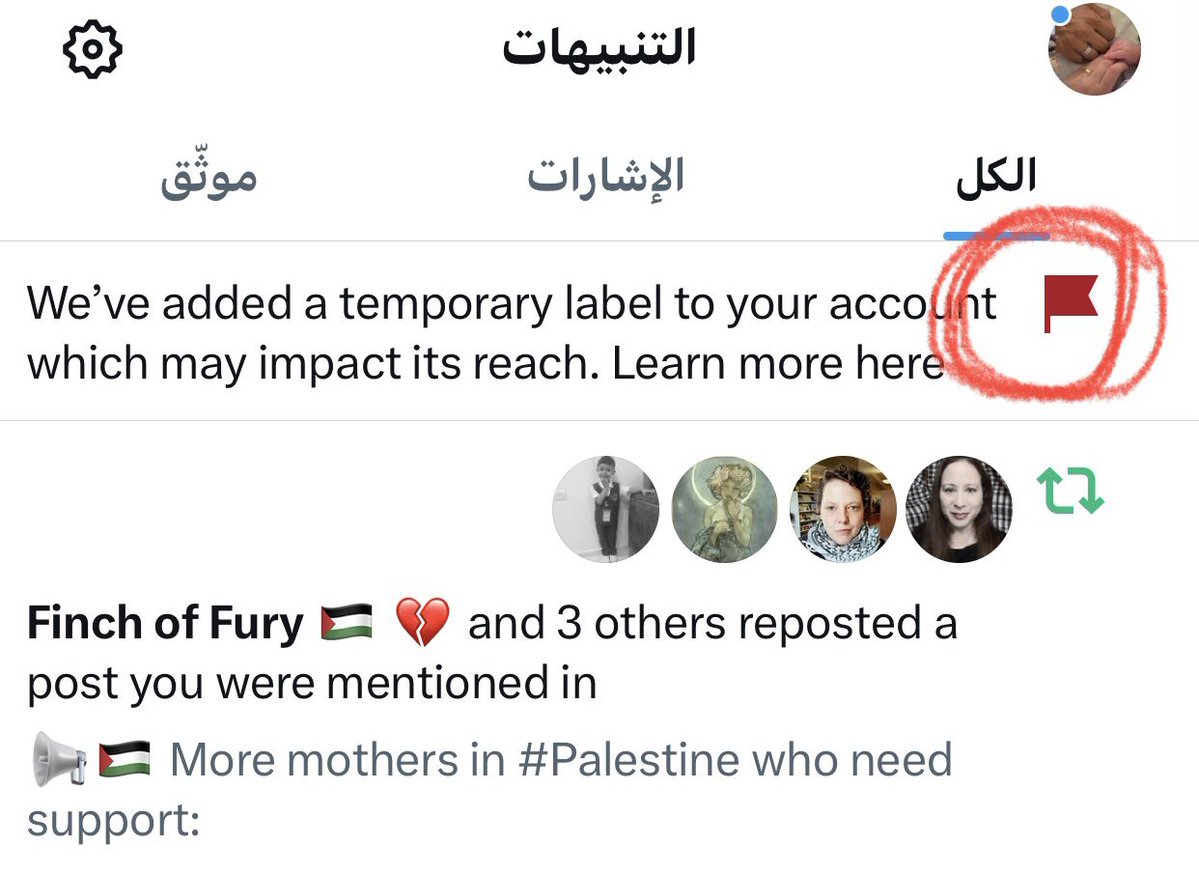 halooshgaza's tweet image. Is the voice of a mother trying to save her child from death being silenced?
I'm not asking for much just for my child to live in dignity safety find a bite of bread Comment share even a word every donation is a new breath for my child amidst these ashes💔
chuffed.org/project/121890…
