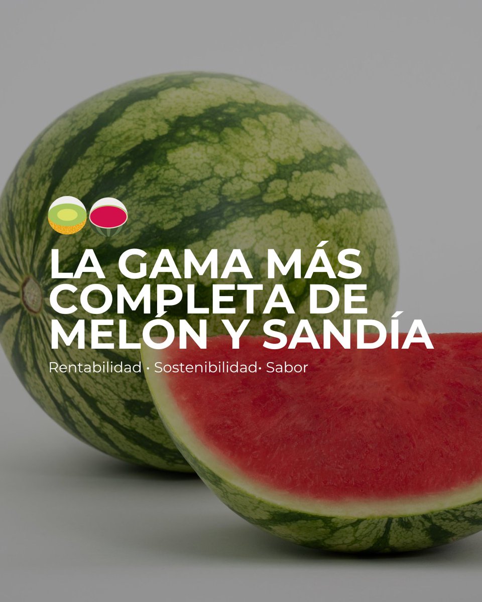 Rentabilidad, sostenibilidad y mucho sabor. 

Así es la gama más completa de #melón y #sandía de #BayerSeminis. Con variedades adaptadas a cada zona, necesidad y mercado.

👉 Descúbrelo aquí: loom.ly/0O4xXxY

#CultivaSeminis