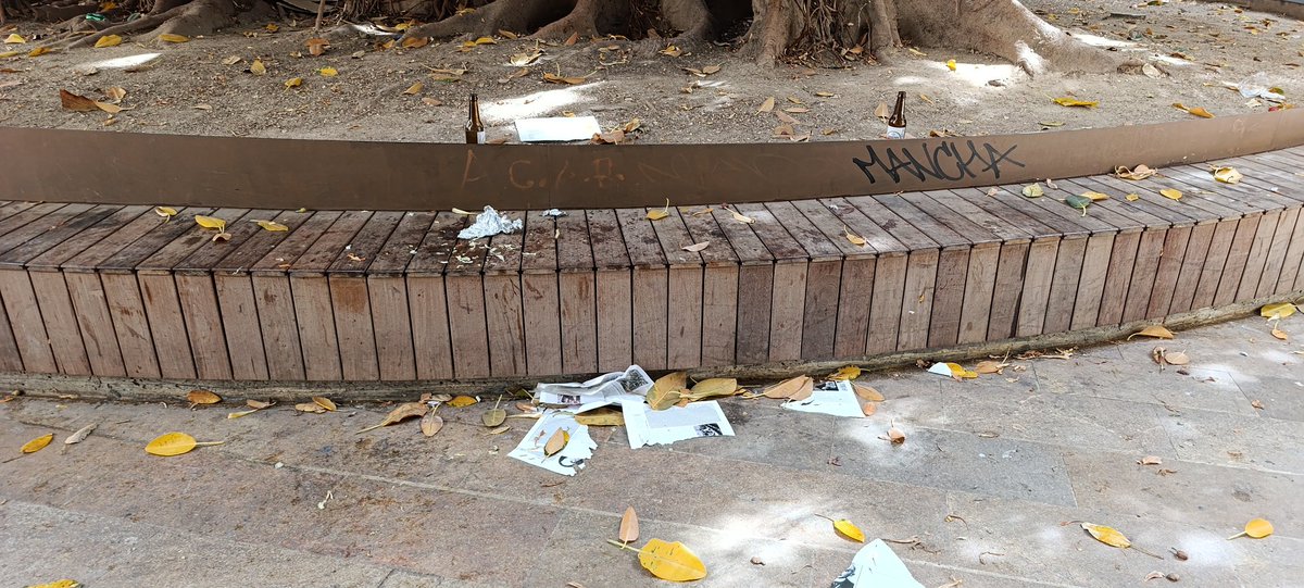 Teresa Porras pásese por la plaza del teatro y vera lo limpia que está la zona, venga con la televisión si quieres.