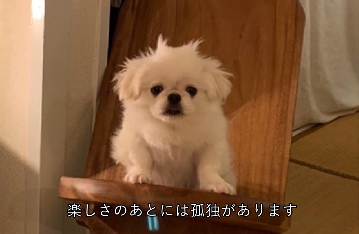 𝐿𝑂𝑉𝐸𝑌𝑂𝑈 (@the_mucho_world) on Twitter photo 