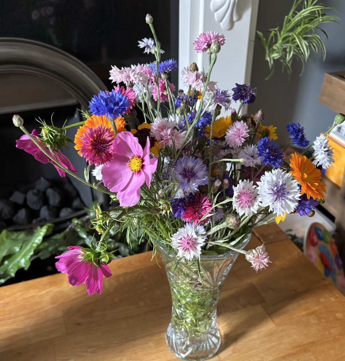NoniSturge's tweet image. Have a wonderful day everyone. Lots of smiles ☺️
📷 🌸🌼 from Haxby Flower Meadow, York 💕
