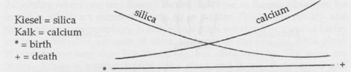 _aestheticprimal_ tweet media