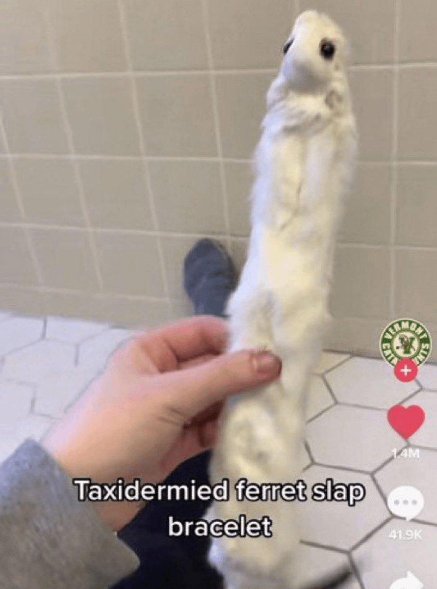 no context memes (@weirddalle) on Twitter photo 