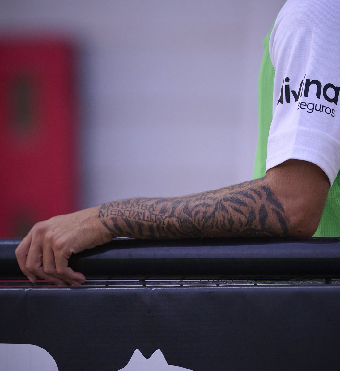 Seguimos con la preparación!🦇