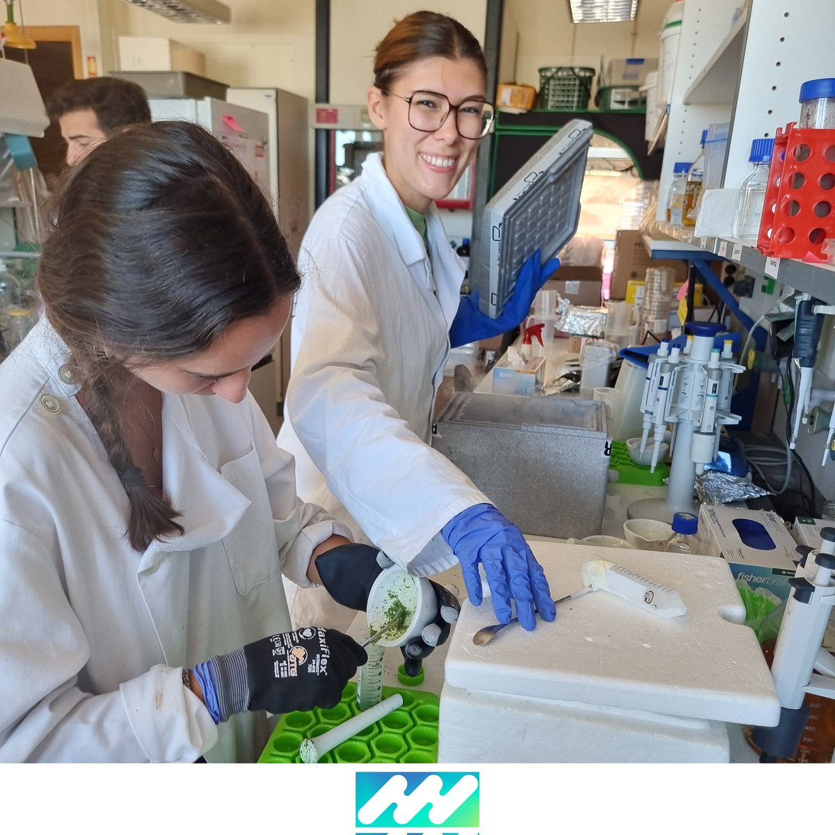 iPlantMicro's tweet image. 🌱🔬While the world’s out sunbathing, we’re busy growing ideas!Summer in the lab means long days, greenhouse heat, and experiments in full bloom.From pipettes to plant trays, we’re making progress. Science doesn’t take a summer break, and neither do we! @itqbnova @greenit_bio4sus