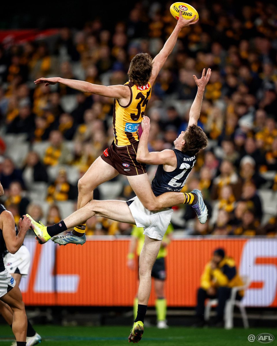 MichaelCWillson's tweet image. Oh Dear #AFLHawksBlues