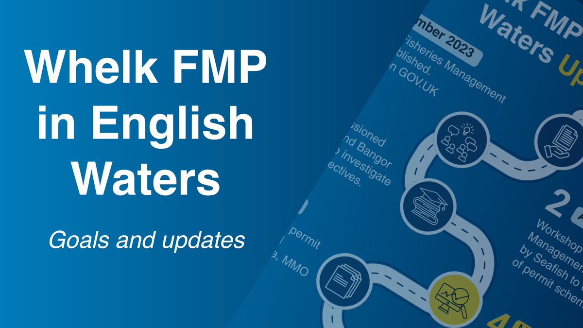 🐚 Spotlight on the Whelk FMP

New from MMO:  infographics &amp; video responding to inshore fishing feedback.  

💡Learn what’s happened, what’s next &amp; the Whelk FMP goals.

Find them on the FMP blog: bit.ly/4lLxmQW

#FisheriesManagementPlans