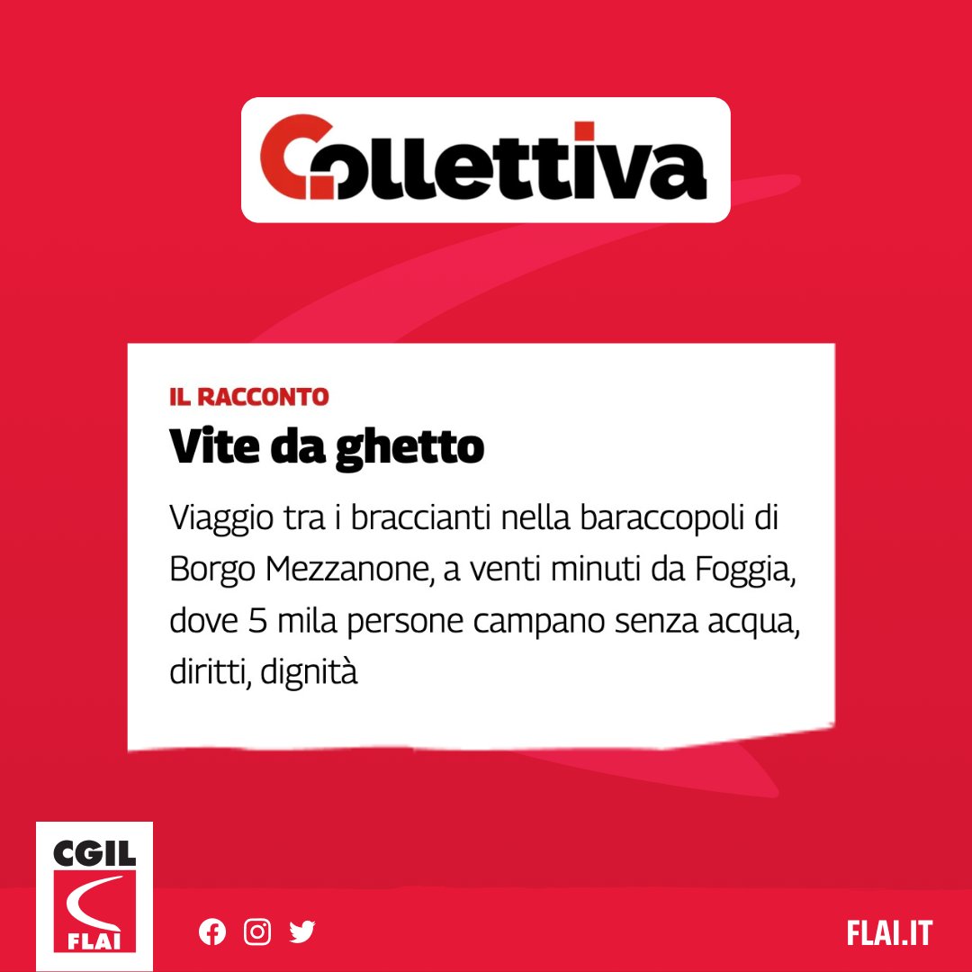 FLAI-CGIL (@flaicgil) on Twitter photo Su <a href="/collettiva_news/">Collettiva</a>, il reportage di <a href="/PallaraPatrizia/">Patrizia Pallara</a> e <a href="/DanieleDiez/">Daniele Diez</a> dal ghetto di Borgo Mezzanone, che abbiamo visitato insieme ad una delegazione di parlamentari Ue e membri del sindacato europeo👇
<a href="/EFFAT_org/">EFFAT</a>
<a href="/camillalaureti1/">Camilla Laureti</a>
<a href="/E_Somaglia/">Enrico Somaglia</a>
collettiva.it/copertine/ital… Su <a href="/collettiva_news/">Collettiva</a>, il reportage di <a href="/PallaraPatrizia/">Patrizia Pallara</a> e <a href="/DanieleDiez/">Daniele Diez</a> dal ghetto di Borgo Mezzanone, che abbiamo visitato insieme ad una delegazione di parlamentari Ue e membri del sindacato europeo👇
<a href="/EFFAT_org/">EFFAT</a>
<a href="/camillalaureti1/">Camilla Laureti</a>
<a href="/E_Somaglia/">Enrico Somaglia</a>
collettiva.it/copertine/ital…