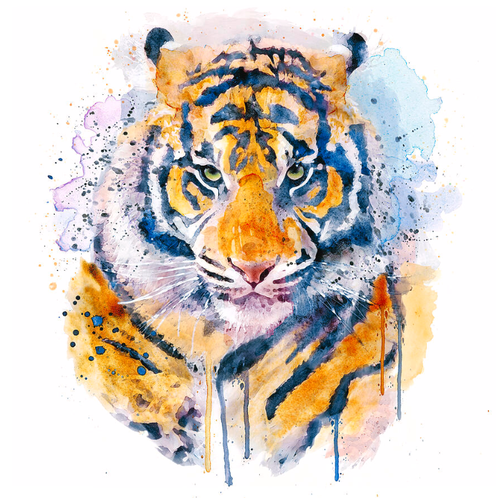 ArtSyndrome75's tweet image. Watercolor Portrait of a Bengal Tiger by Marian Voicu
🛒 Get it here:
marian-voicu.pixels.com/featured/water…
Great gift for: Wildlife enthusiasts, tiger lovers, animal conservation supporters, or anyone who appreciates bold animal portraiture.