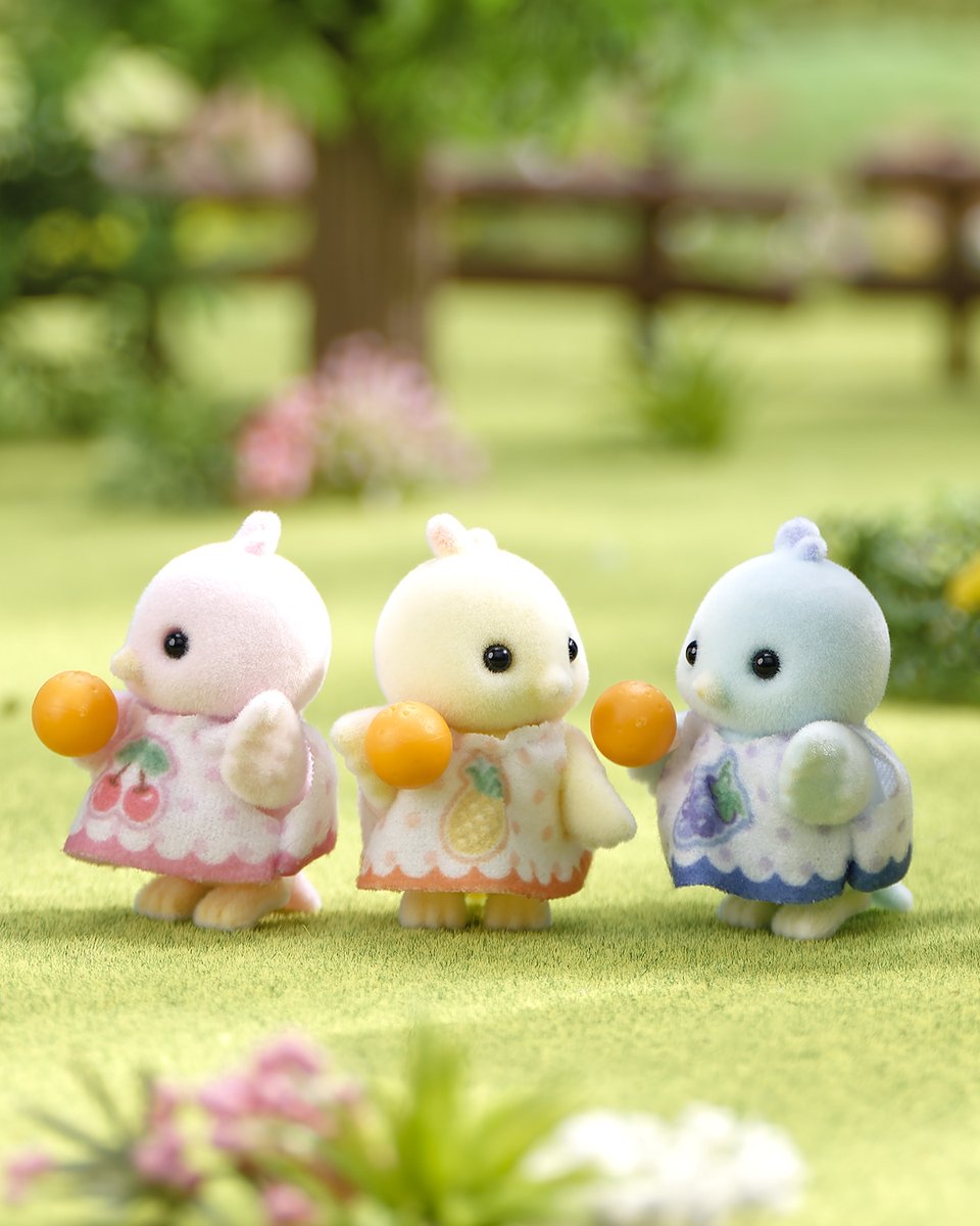 SylvanianJP's tweet image. 「はやく、おとうさんにわたさなくちゃ!」
お父さんのジュース屋さんをお手伝いするために、オレンジを持ってきたシトラスバードのミア、ジョルディ、リオ✨
「いそげ~!!」
お父さんに一番に渡すのは誰かな?🍊
#シルバニアファミリー #シルバニア
#オレンジ #ジュース #シルバニア赤ちゃん