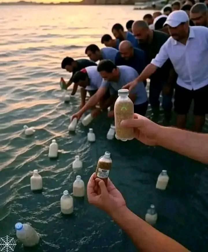 scorpionthedes1's tweet image. عزة.... والشعوب المجاورة 
رمي القارورات في البحر لن يفتح المعابر ولن يوقف المجاعة
الشعب المصري أولا ثم الأردني الذي أكثره من فلسطين…
واجبكم أن تخرجو بالملايين وتهزوا الأرض تحت أقدام الظالمين
القارورات… يرسلها البعيد الذي لا يملك إلا الدعاء
أما أنتم فلا عذر لكم أمام الله....