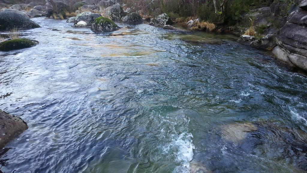 La <a href="/CH_MS/">CHMS</a> ha adjudicado las obras para recuperar el arroyo de la Vega del Rey en Cacabelos. La empresa Maga Estudios y Construcciones S.L. será la encargada de ejecutar los trabajos. El proyecto, valorado en más de 566.000 euros, será financiado íntegramente por la Confederación.