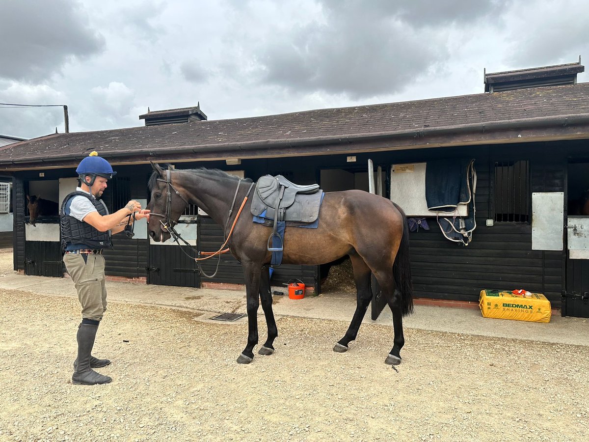 🤩After a superb 2024/25 season, Wendigo is now back at Folly House with <a href="/jamiesnowden/">Jamie Snowden</a> 

😀Here he is before going out for his morning exercise! He is very happy in himself and will now be trained towards the jumps season!

Novice chasing here we come!

<a href="/GingerJoeRacing/">Ginger Joe Racing & Golf</a> |
