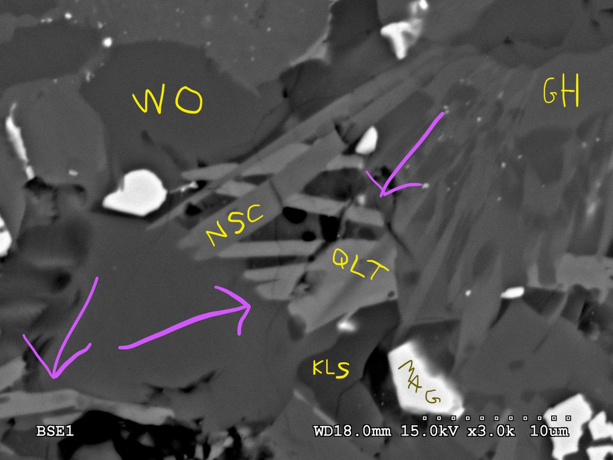 #ThinSectionThursday qeltite marked in pink, together with some gehlenite, wollastonite, nagelschmidtite, magnetite, and kalsilite.
What is qeltite? Good question! See link in reply for the story.