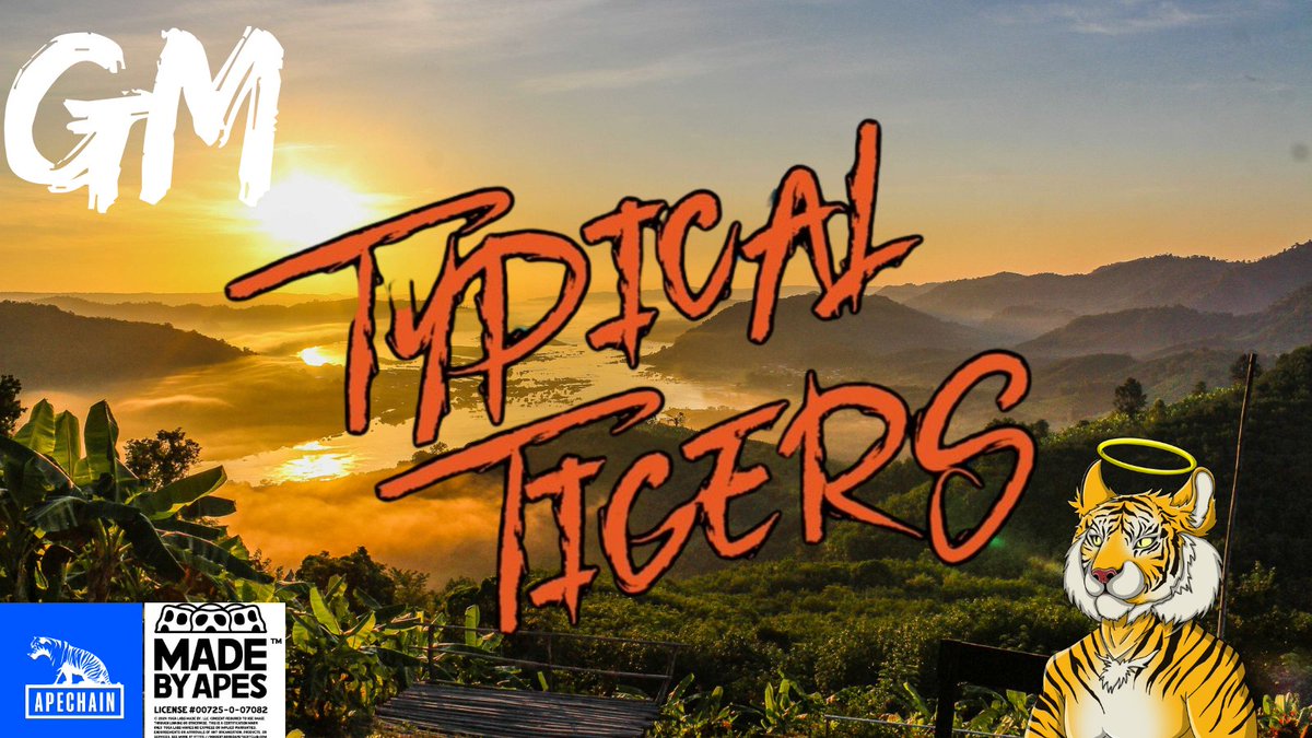 TypicalTigerNFT's tweet image. GM #apechain 🐯
World Tiger Day 29th July
Limited edition collection dropping SOON
333 🐅
magiceden.io/collections/