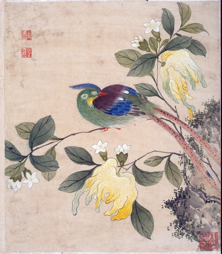 This late C19th painting of birds on silk is by Wang Guochen. There are 12 beautiful folios in the volume #EYANature 
ow.ly/Xtol50WrJaG