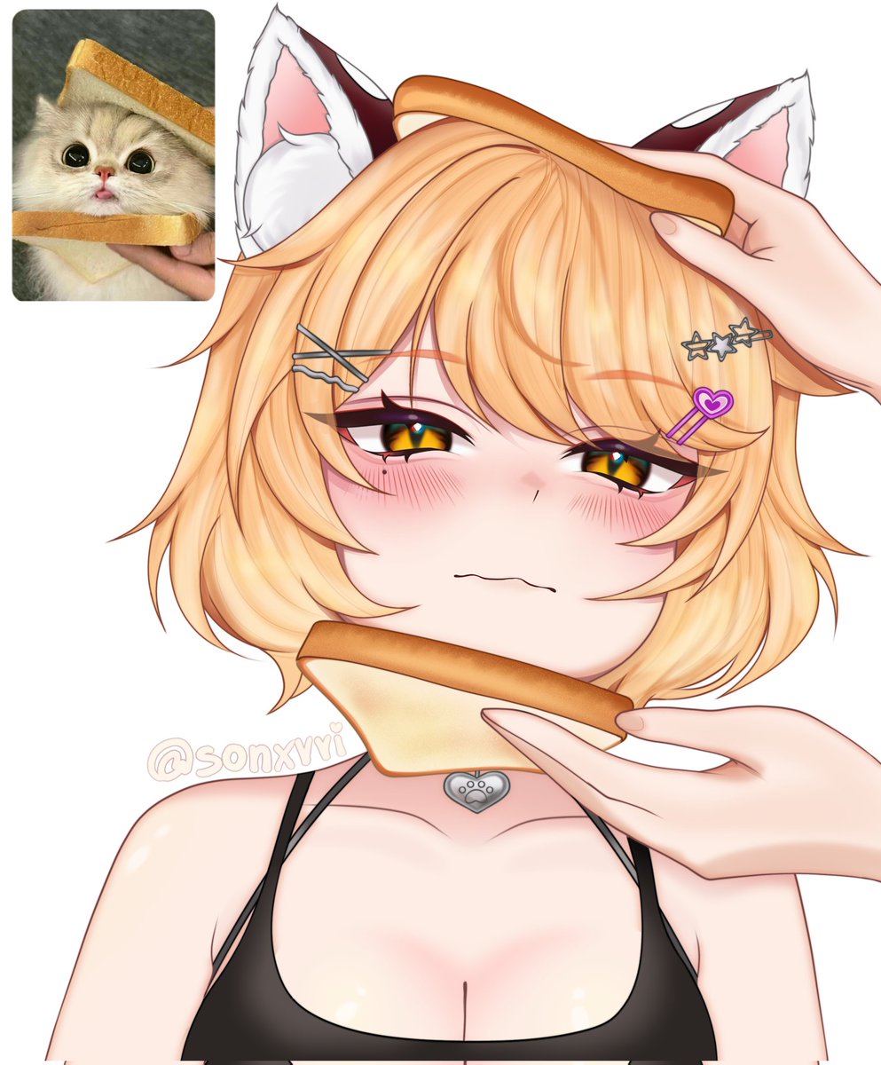 sonxvvi's tweet image. Art for: @KiranaYonome 🥥
Meme with a kitty — I really like this one ✧⁠*⁠。

#kiranart #CatMeme