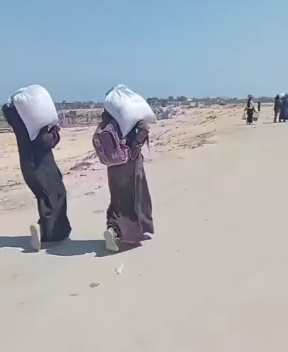 SamahSAmari's tweet image. يا حبيباتي كيف حاملين طحين وماشيين مسافات!
الله يذل اللي ذلكم ويحرق قلوبهم
ولكم طول عمرنا بنات عز وبنتدلل ومبسوطين ومناح طول عمرنا
كيف هان عليكم منظر بناتنا هيك 💔💔