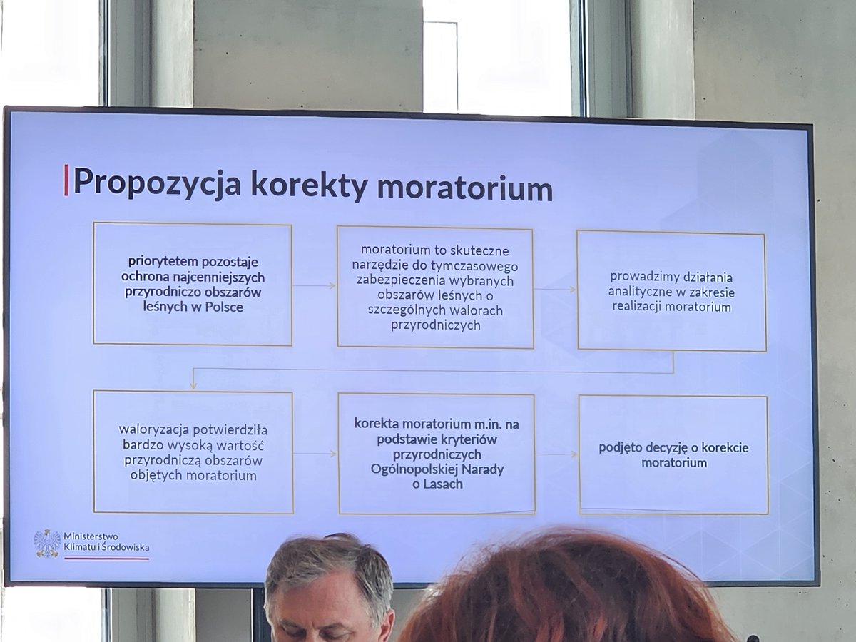 PracowniaBystra's tweet image. Wiceminister @MKiS_GOV_PL @DorozalaMikolaj przedstawił projekt korekty moratorium, oznaczający zmniejszenie powierzchni wyłączonej z wycinek, choć koalicja 15 Października zapowiadała wyłączenie 20% najcenniejszych przyrodniczo lasów w Polsce‼️