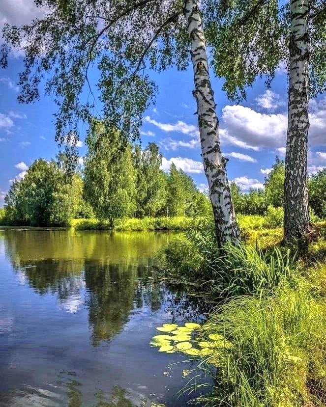 Alenka18018's tweet image. Живи спокойно, дни свои любя,
Здесь вряд ли что зависит от тебя...
〰️Зоя Бунковская