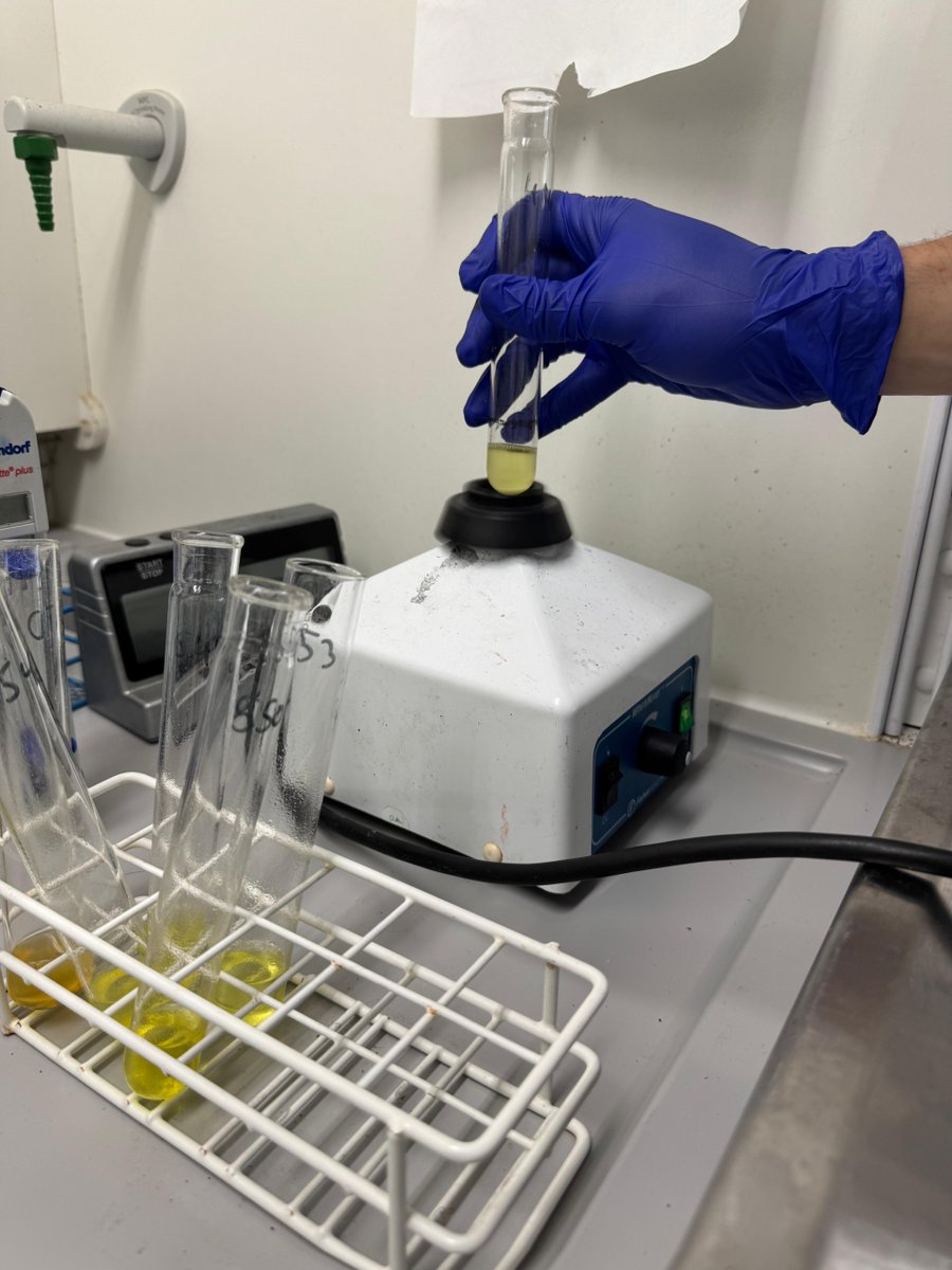 niabgroup's tweet image. 🚨 Reminder for OSR Growers: Test Your Erucic Acid Levels now! We've seen a steady increase in samples coming through with some showing unexpectedly high levels.
Niab offers fast, reliable, and cost-effective testing. Get in touch today ➡️ow.ly/8v9750Wuxyj