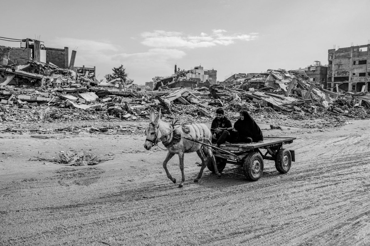 De passiviteit van de EU tegenover Gaza is beschamend. Niet alleen blijven daadkrachtige maatregelen uit, zelfs een duidelijke veroordeling ligt moeilijk. Dit is de EU compleet onwaardig. Het internationaal recht lijkt enkel op papier een leidraad, want zodra de tering naar de