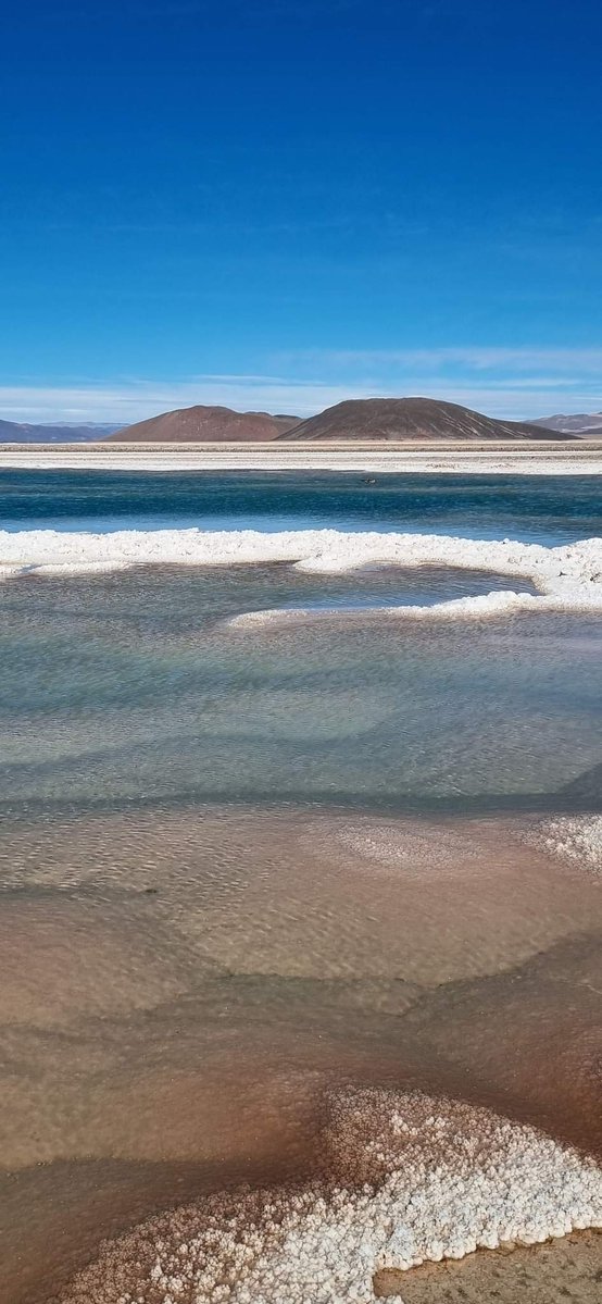 turisargentina's tweet image. Salar de Antofalla, ubicado en el departamento de Antofagasta, provincia de Catamarca ✨🦙🦩
Un maravilloso humedal para disfrutar estas vacaciones. 🚙🇦🇷
Fotos de Juan Cardozo