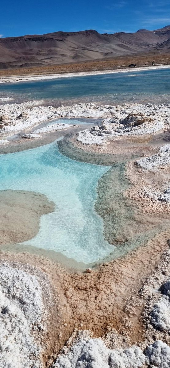 turisargentina's tweet image. Salar de Antofalla, ubicado en el departamento de Antofagasta, provincia de Catamarca ✨🦙🦩
Un maravilloso humedal para disfrutar estas vacaciones. 🚙🇦🇷
Fotos de Juan Cardozo
