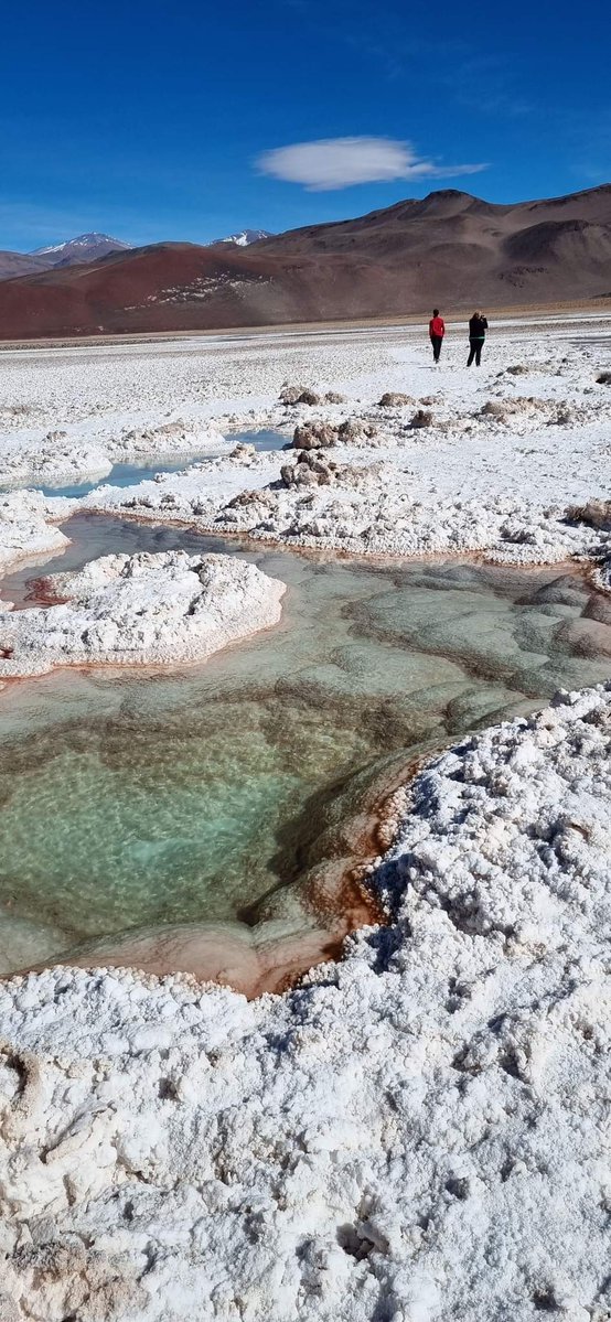 turisargentina's tweet image. Salar de Antofalla, ubicado en el departamento de Antofagasta, provincia de Catamarca ✨🦙🦩
Un maravilloso humedal para disfrutar estas vacaciones. 🚙🇦🇷
Fotos de Juan Cardozo