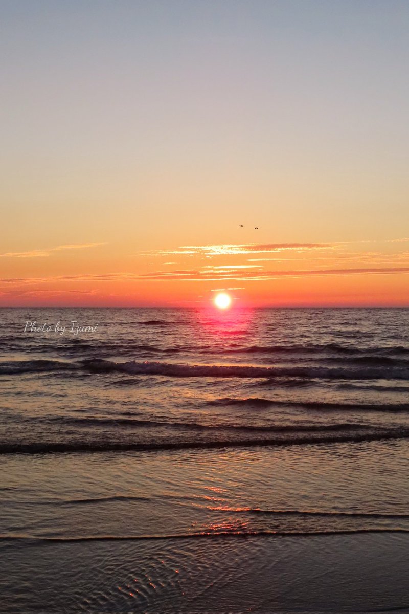 dremifa29's tweet image. こんばんは~🍀
今日はお休みなので たっぷり塩分補給してきました🌊🏖
日没の最後の瞬間に グリーンフラッシュがわずかに確認できました👀✨
みなさん 見えますか~📲
🌅~(*˙꒫˙* )💚
#グリーンフラッシュ
#イマウミ #夕陽
#夕焼け写真部