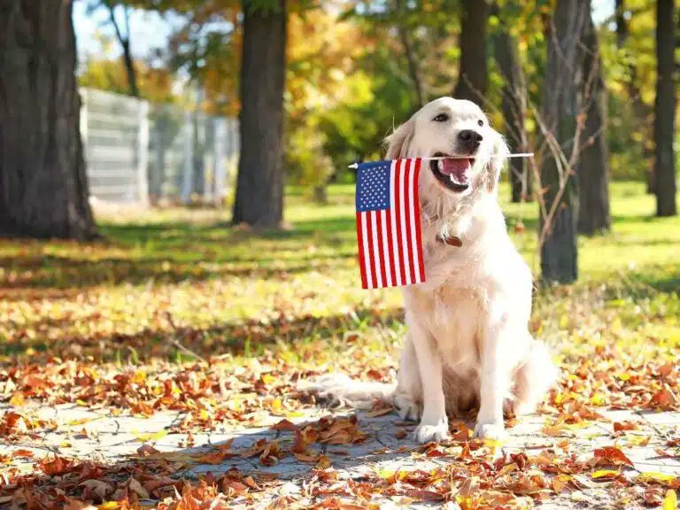 Good morning my lovely friends and fans