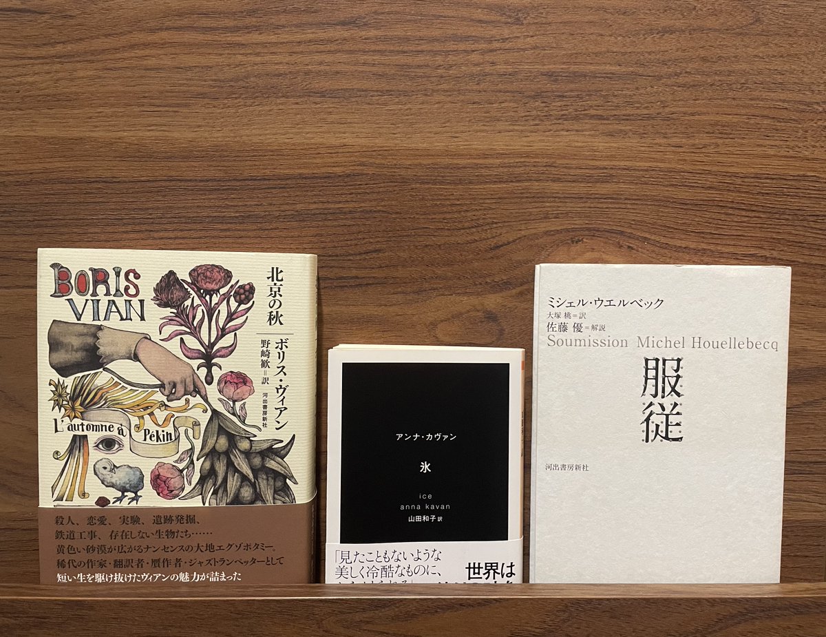 『北京の秋』 ボリス・ヴィアン

『氷』 アンナ・カヴァン

『服従』 ミシェル・ウエルベック

#今日買った・届いた本を紹介する