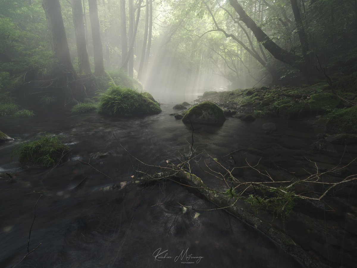 keiichiroooo_m's tweet image. #愛用レンズを画像付きで布教する

FUJINON GF20-35mmF4 R WR

GFレンズ唯一の広角ズーム。
使用頻度はそこまで高くないけれど、手放せないレンズです。