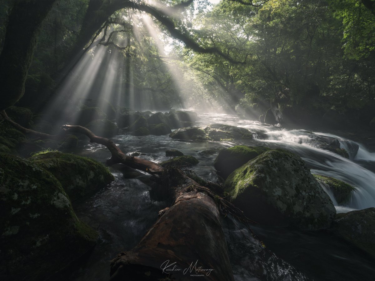 keiichiroooo_m's tweet image. #愛用レンズを画像付きで布教する

FUJINON GF20-35mmF4 R WR

GFレンズ唯一の広角ズーム。
使用頻度はそこまで高くないけれど、手放せないレンズです。