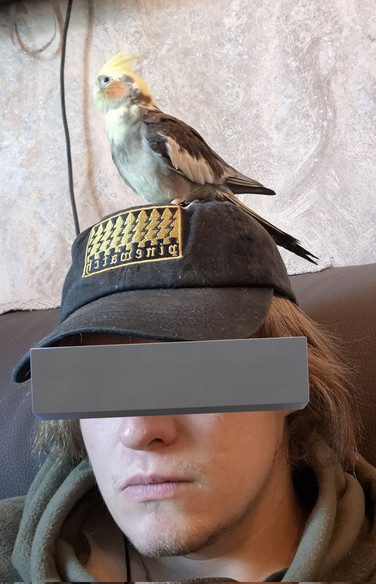 dustyy545's tweet image. Animals are attracted to me like im a disney princess in a forest