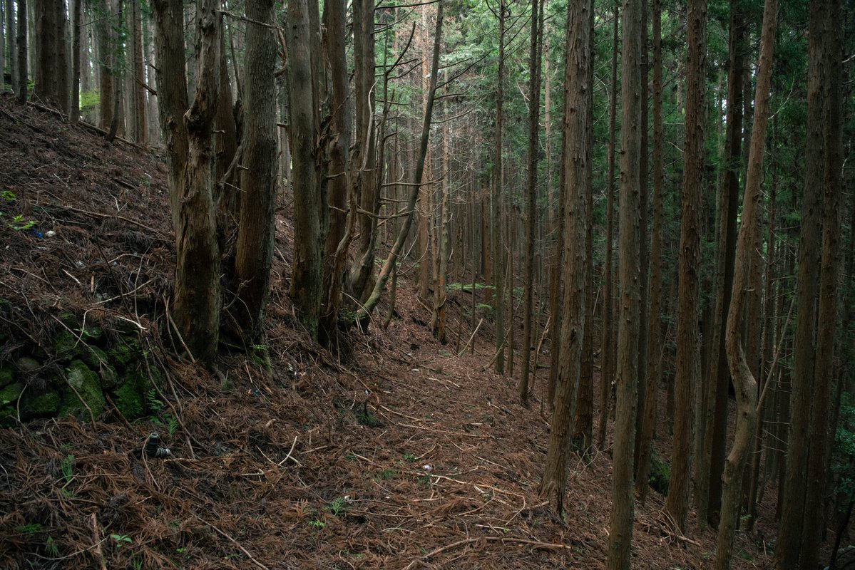 hopigon's tweet image. 山奥の廃村を歩いた先にあった
ただならぬ雰囲気を感じる石像と
四方を完全にトタンばりされた出入口の無い建物