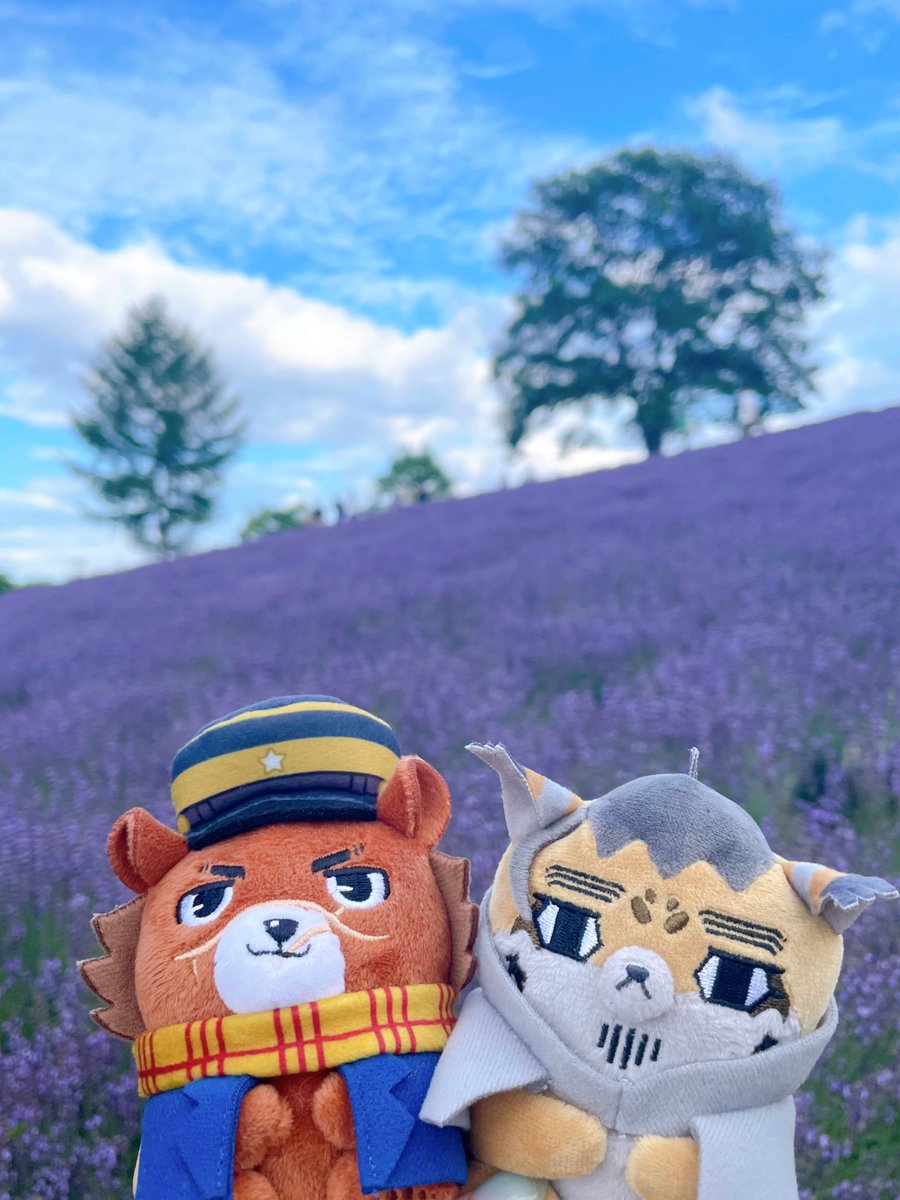 bab_snip's tweet image. ピントが全部ふぉぜに持ってかれた🪻
