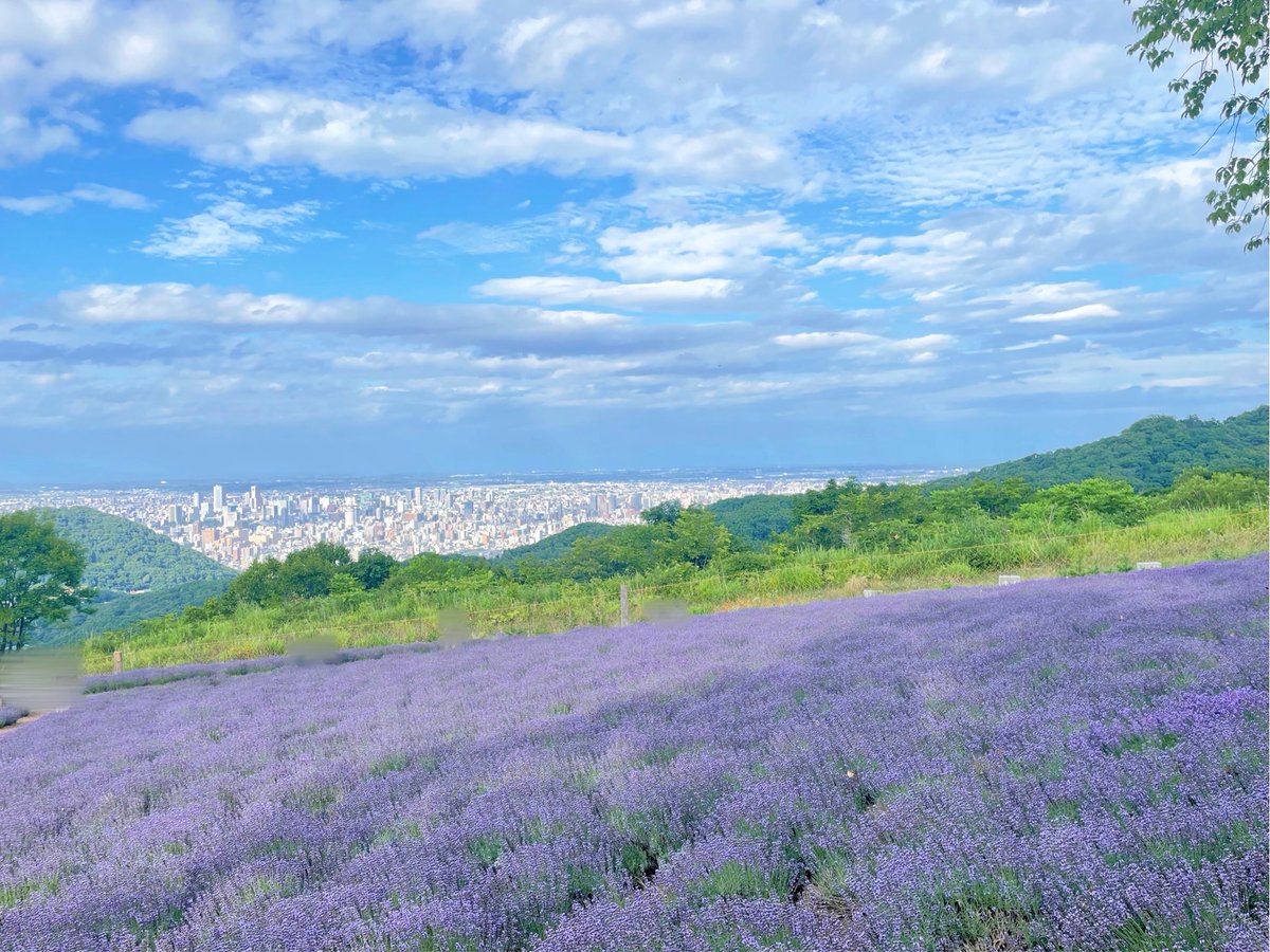 bab_snip's tweet image. ピントが全部ふぉぜに持ってかれた🪻