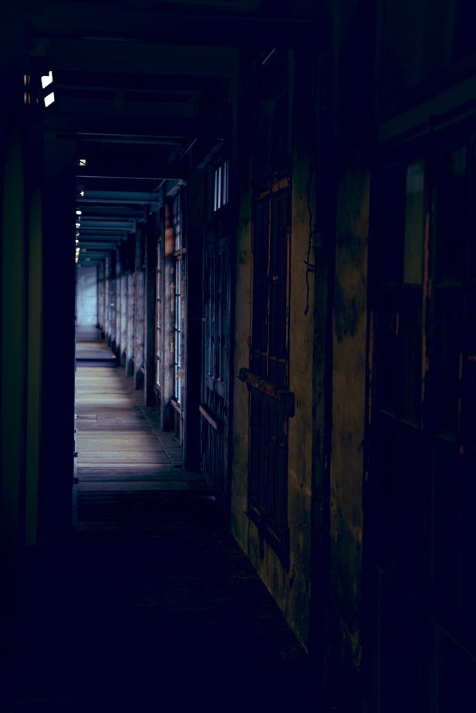 Hazuki_camera's tweet image. #photography 
#キリトリセカイ 
#写真好きな人と繋がりたい 
#ファインダーの越しの私の世界 
#東京カメラ部