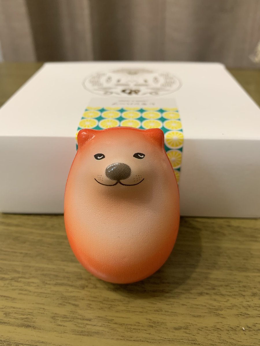 hsanori's tweet photo. 写真と違う物が届いて息子は
大激怒　笑 https://t.co/7gX8JQMTwD