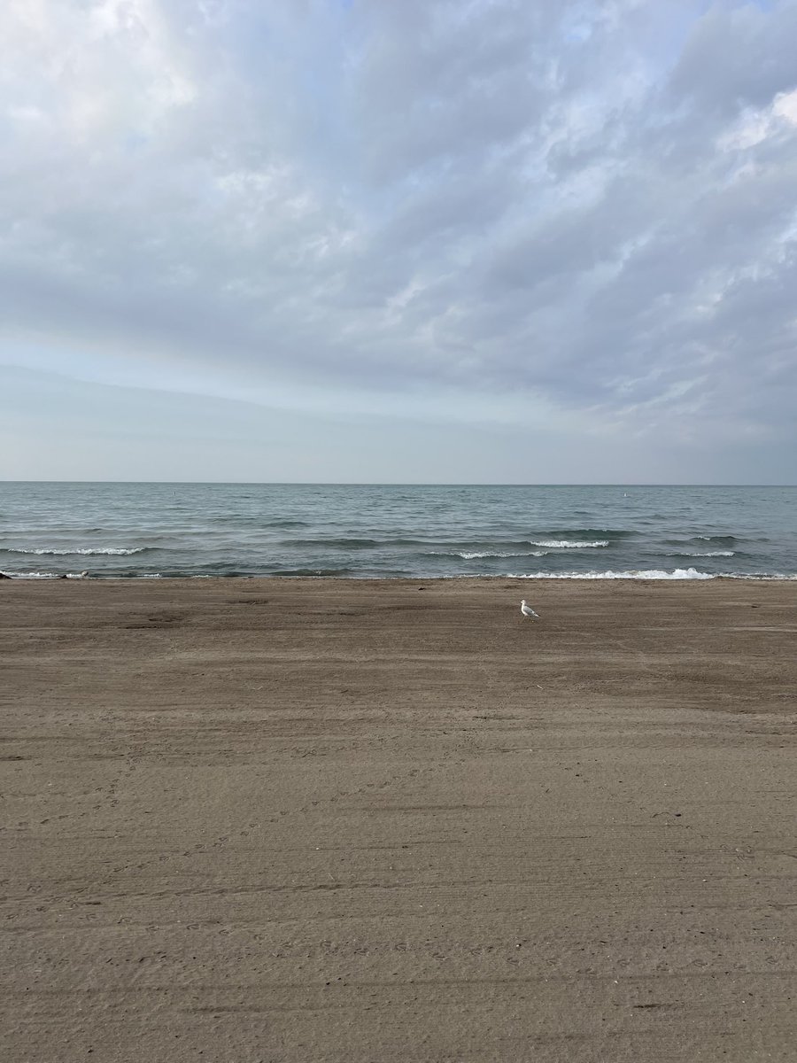 EveryCdnCounts's tweet image. Instead of continually searching, perhaps we should be happy with what we find.